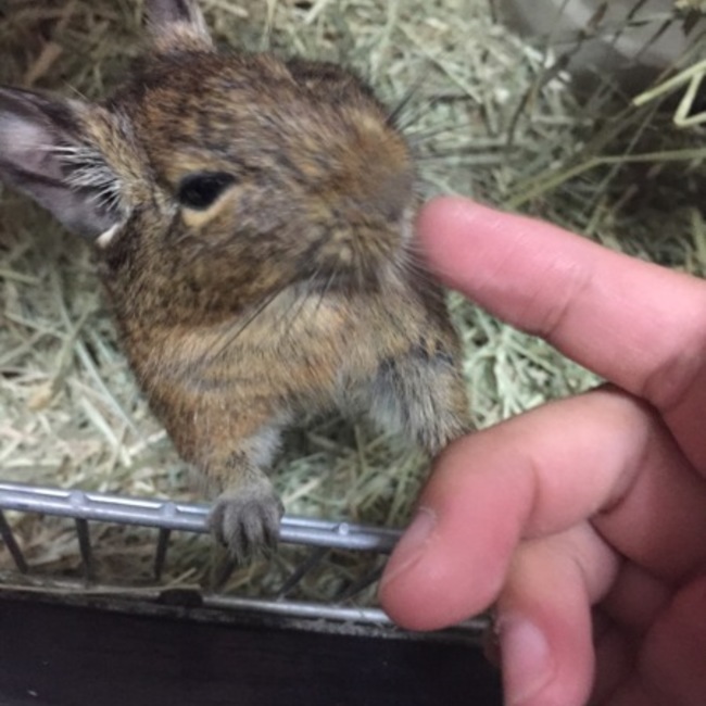 赤青のカバー写真