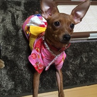 ベティ
