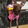 ベティ