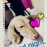 の写真