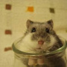 ささピアノ