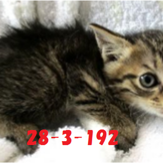 2匹兄弟で迎えていただきました！！感謝♪