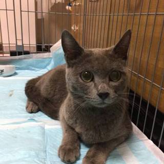 たくさんのご応募ありがとうございました。