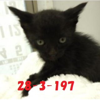 3兄弟で迎えていただきました☆良かったね☆