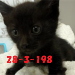 3兄弟で迎えていただきました☆良かったね☆