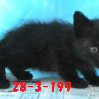 3兄弟で迎えていただきました☆良かったね☆