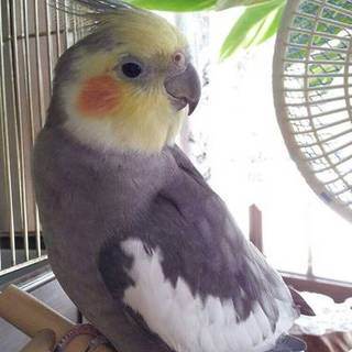 たくさんのご応募ありがとうございました。