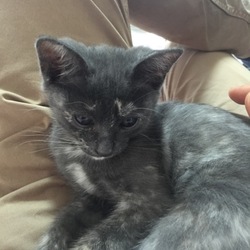 珍しくお目目をあけている