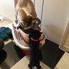 はじめまして。