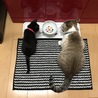やっとご対面〜