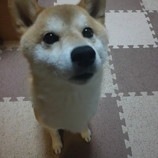 応募者様多数の為、募集休止とさせて頂きます。