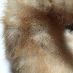 「気になる薄毛は…」サムネイル1