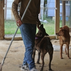 ただいまヒート中