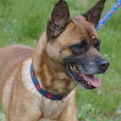 この顔でビビリです（笑）