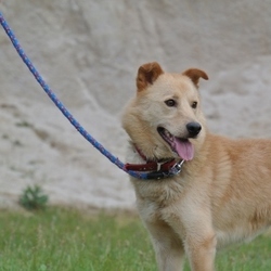 首輪外しちまいました（＞＜）