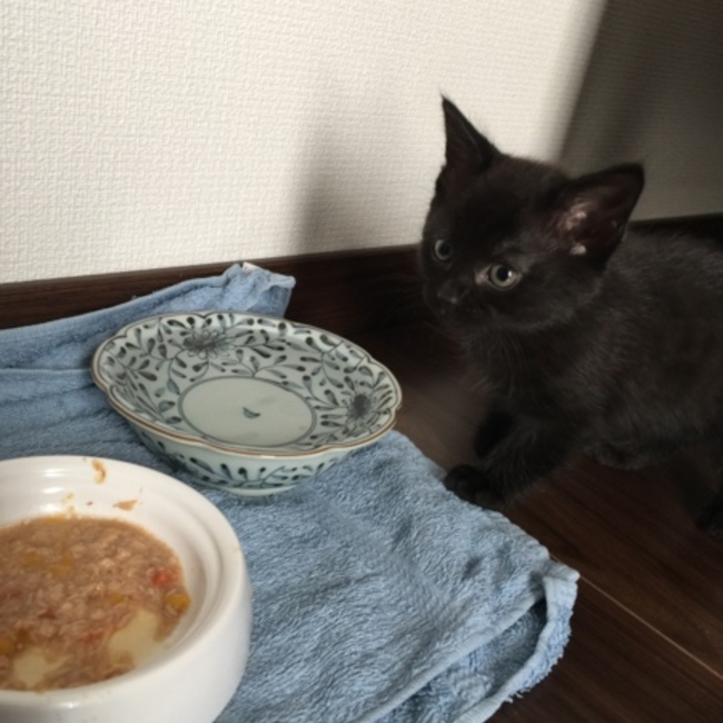 Tksgoesonのカバー写真