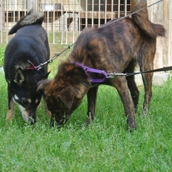 ライバルがいなくて伸び伸びぃ～？