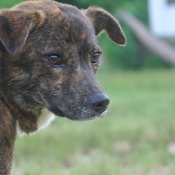 可愛い顔して意地悪です（笑）