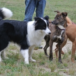 相手が男の子なら平気です（笑）