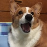 聞いてますよー