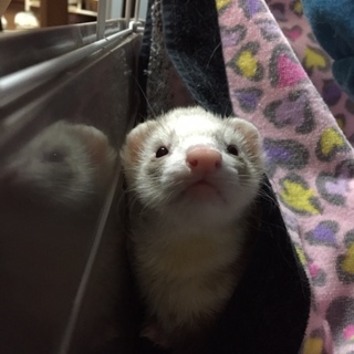 遊ぶのが大好きでおてんばな１歳　女の子☆