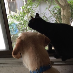 ドライヤーブラシが気持ちいい♪