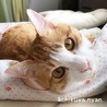  さん