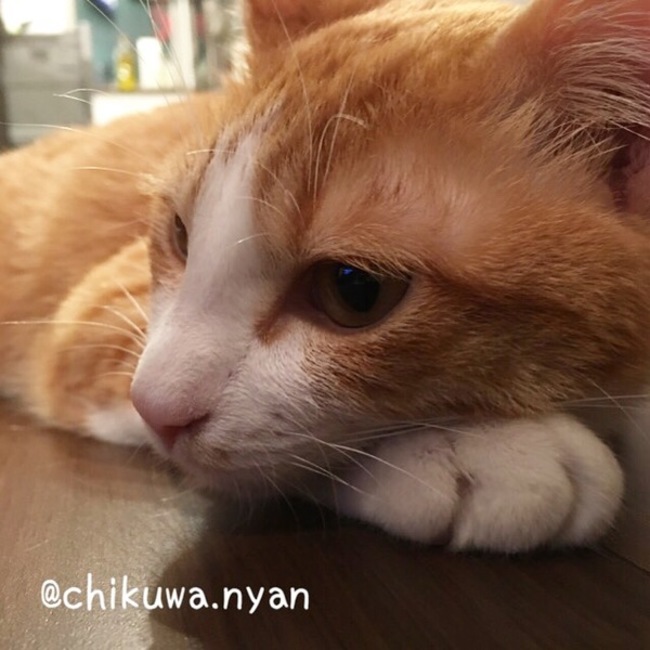 まんえりのカバー写真
