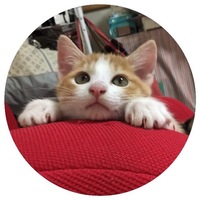 ちくわ