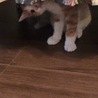 うちに来た日のちくわ♡
