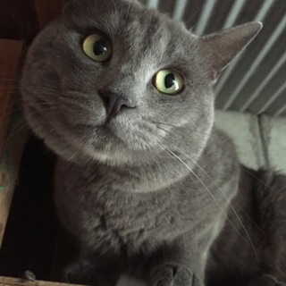 多頭飼い飼育現場の子！山ちゃん☆