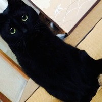 スタンリー