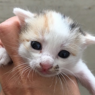 沢山のご応募ありがとうございました。
