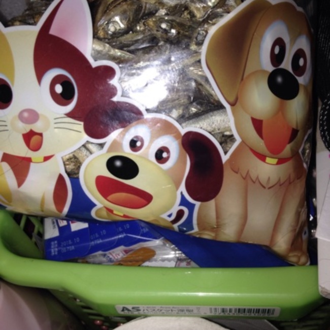 朽木 白哉のカバー写真