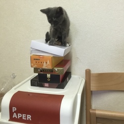 グラグラ不安定な場所に‥