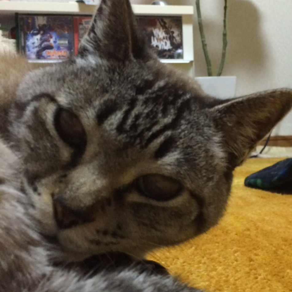そらのカバー写真