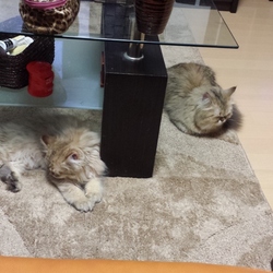 遊びすぎてヘトヘト