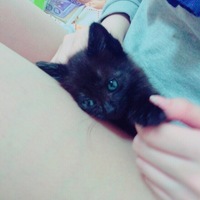 うに
