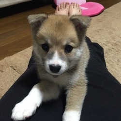 模様が変わった