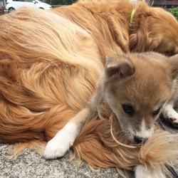 「模様が変わった」サムネイル3