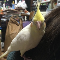 みちる