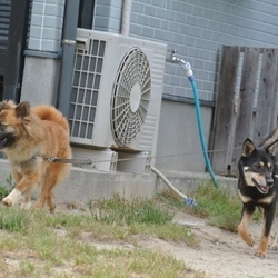男の子なら平気な、嫌な女です（笑）