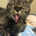 里親になってもらえませんか