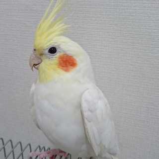 皆様、本当にありがとうございました！