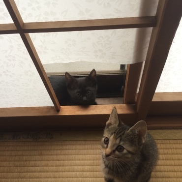 家族になって3日。慣れてきたみたい(^^)