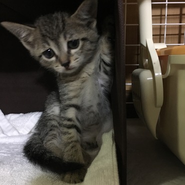 今日からよろしくね^ ^