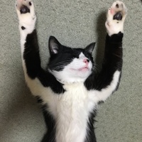 たび
