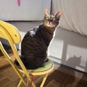 甘えん坊です
