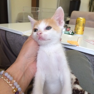 ありがとうございました♪