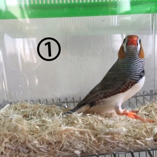 沢山のご応募ありがとうございました(*^_^*)